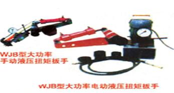 WJB��ϵ�д����ֶ����綯ҺѹŤ�ذ���